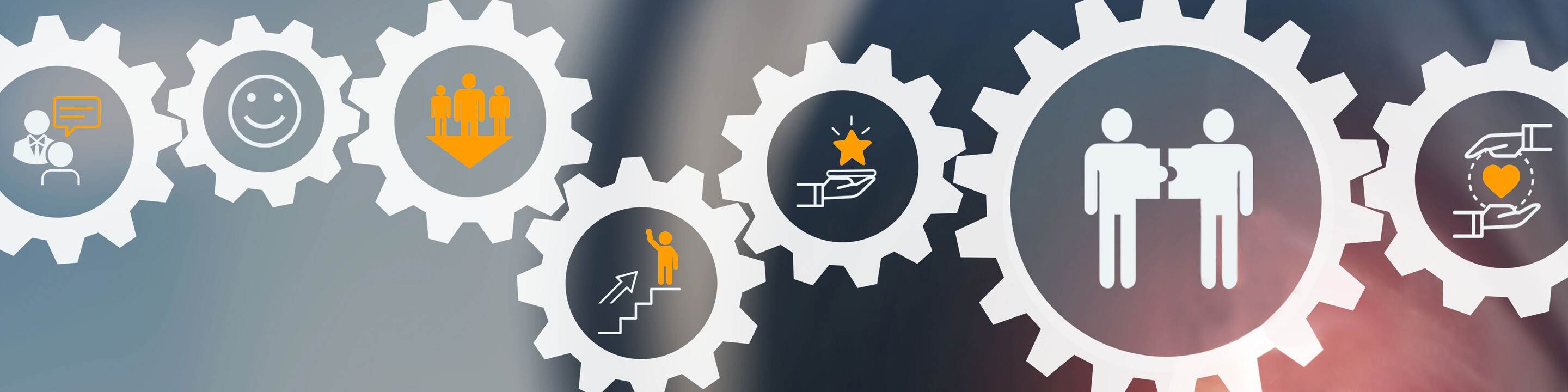 4 Ways an HRIS Drives Business Transformation  (and Makes HR the Hero)